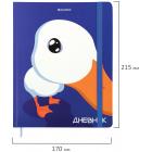  1-11  48 ., , BRAUBERG,  , , -,  , 