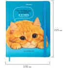  1-11  48 ., , BRAUBERG,  , , -,  , 