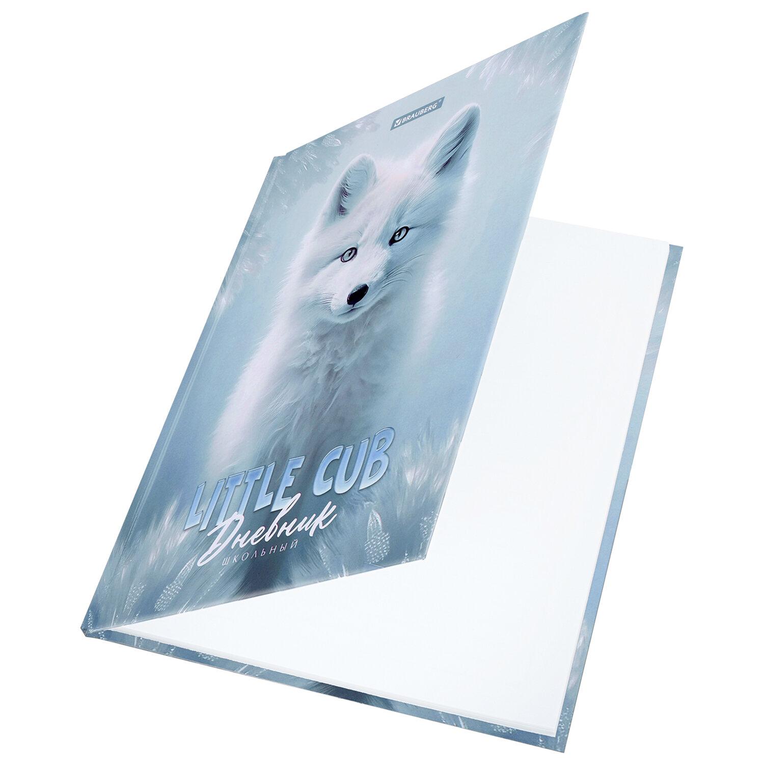  1-4  48 ., , BRAUBERG,  ,  , , 106833