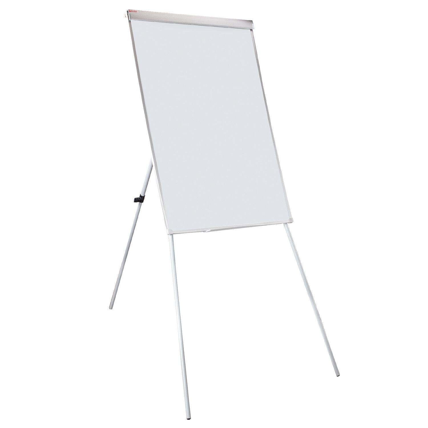 - - 70100 ,  , , BRAUBERG Extra, 237724