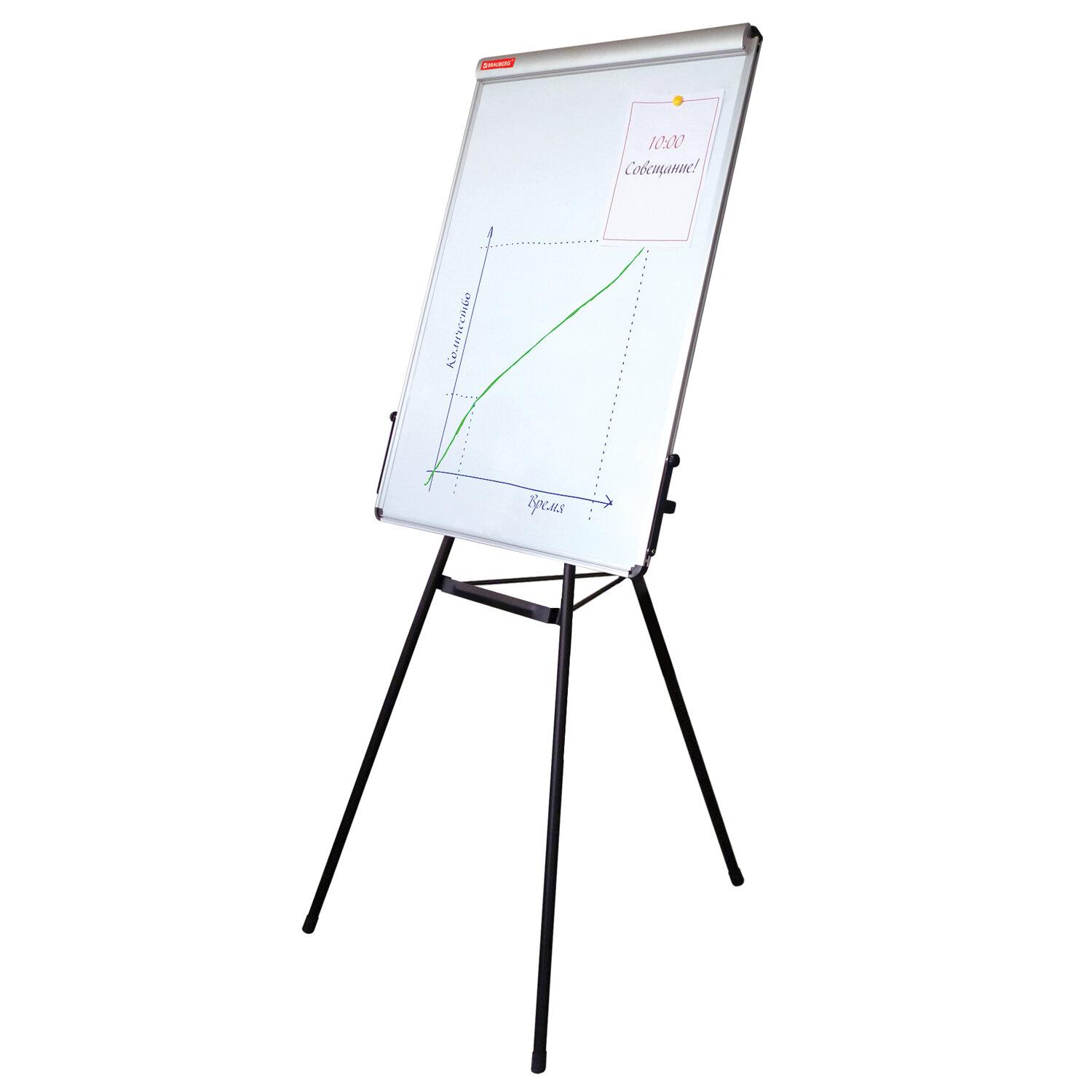 - - (70100 ), ,  10 , BRAUBERG, 231720