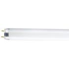   Osram Lumilux . L 36W/830 G13 3000 .. 25