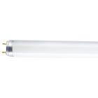 Электрическая лампа Osram люминесц. L 36W/640 G13 4000К хол.бел. 25шт/уп.