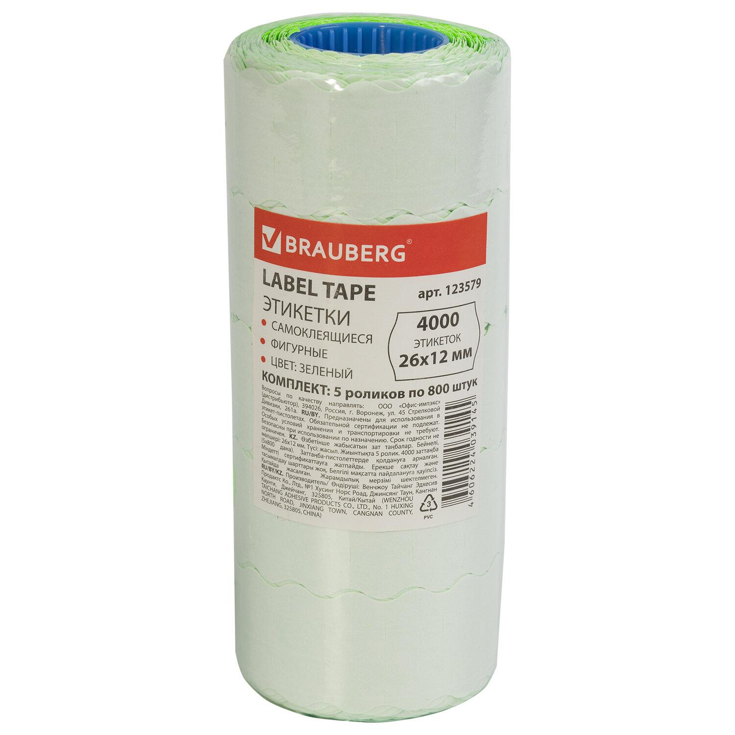 - 2612 , , ,  5   800 ., BRAUBERG, 123579