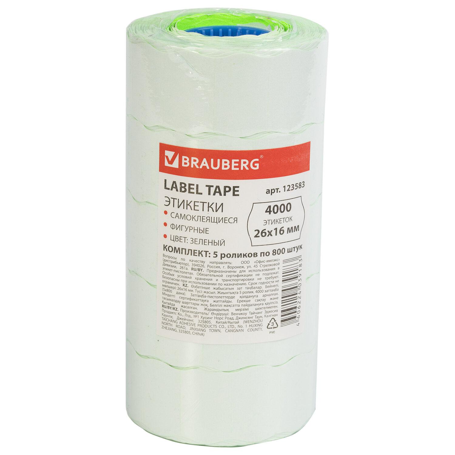 - 2616 , , ,  5   800 ., BRAUBERG, 123583