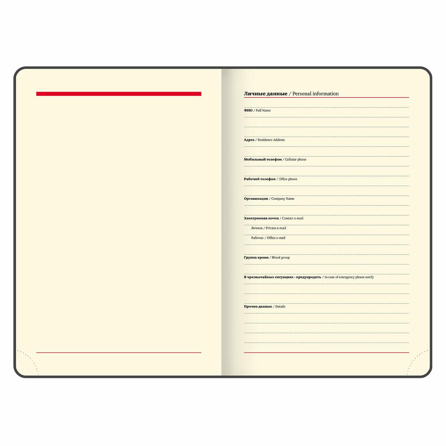   2024 5 138x213 , BRAUBERG Metropolis Mix,  , , 114936