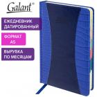   2025 5 148218  GALANT 