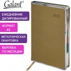   2025 5 148218  GALANT 