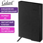   2025 5 148218  GALANT 