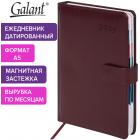   2025 5 148218  GALANT 