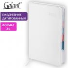   2025 5 148218  GALANT 