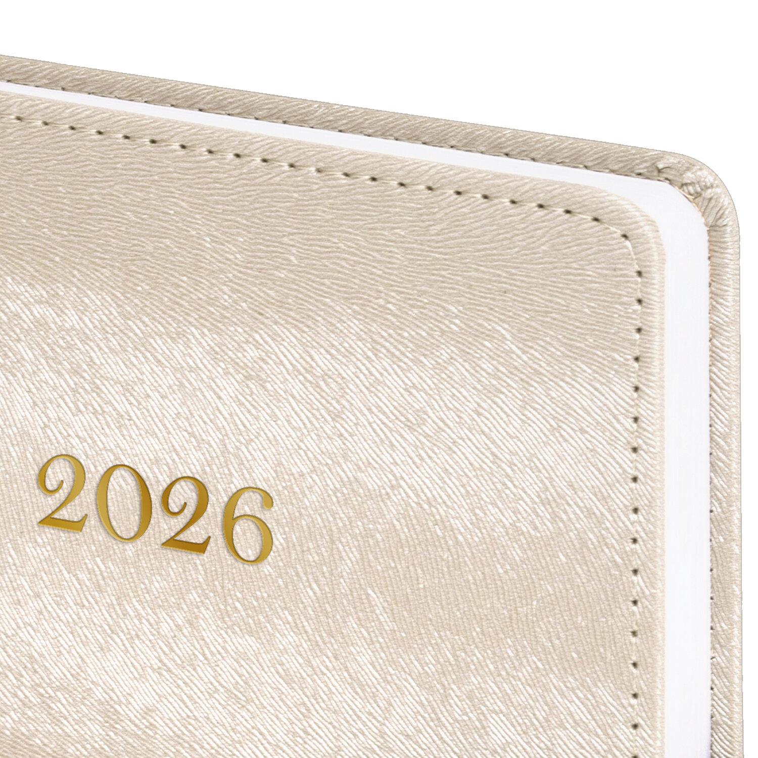   2026 5 138213 , BRAUBERG Elegant,  , , , 117369