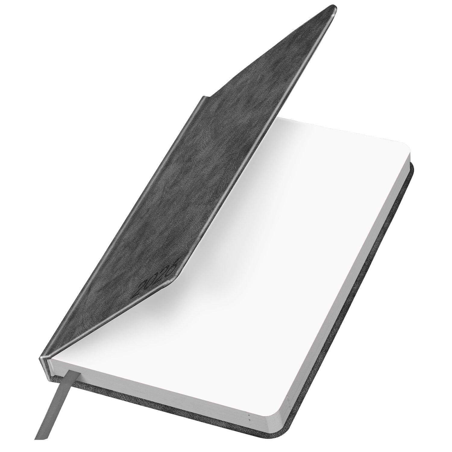   2026 5 138213 , BRAUBERG Ice,  , , 117393