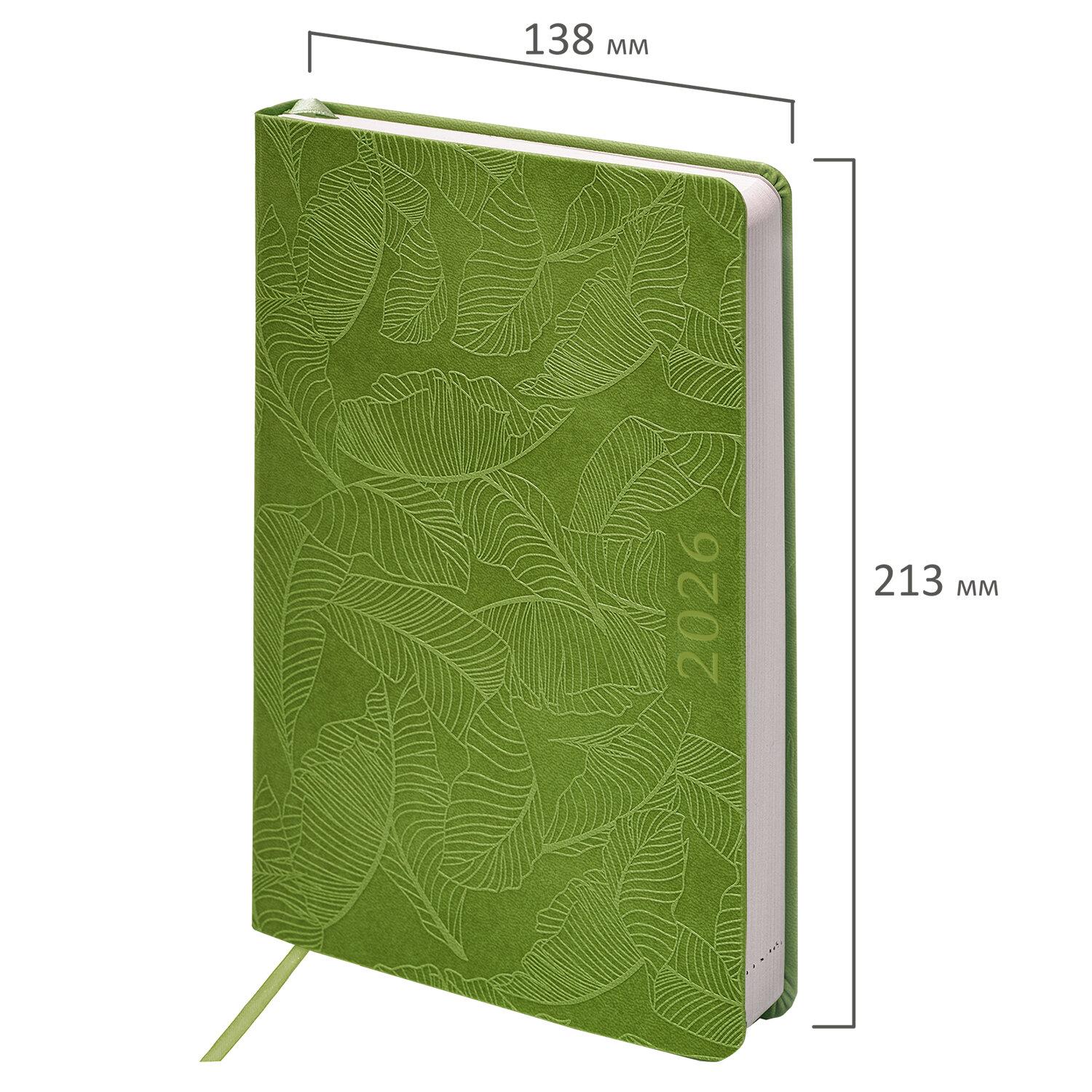   2026 5 138x213 , BRAUBERG Foliage,  , , , 117128