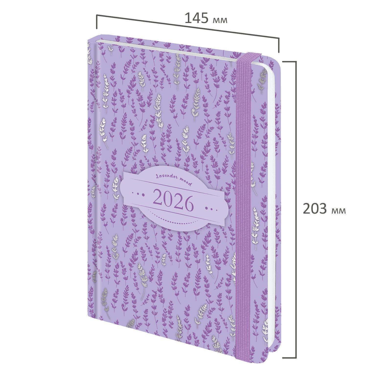   2026   145203 , 5, BRAUBERG , , , 117344