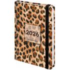   2026   145203 , 5, BRAUBERG, , , 