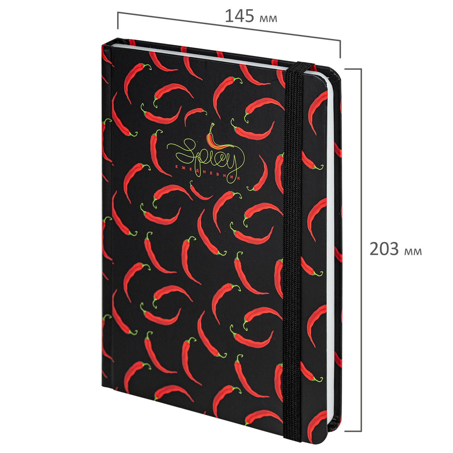     5 (145203 ), BRAUBERG, , 128 ., Spicy, 114560