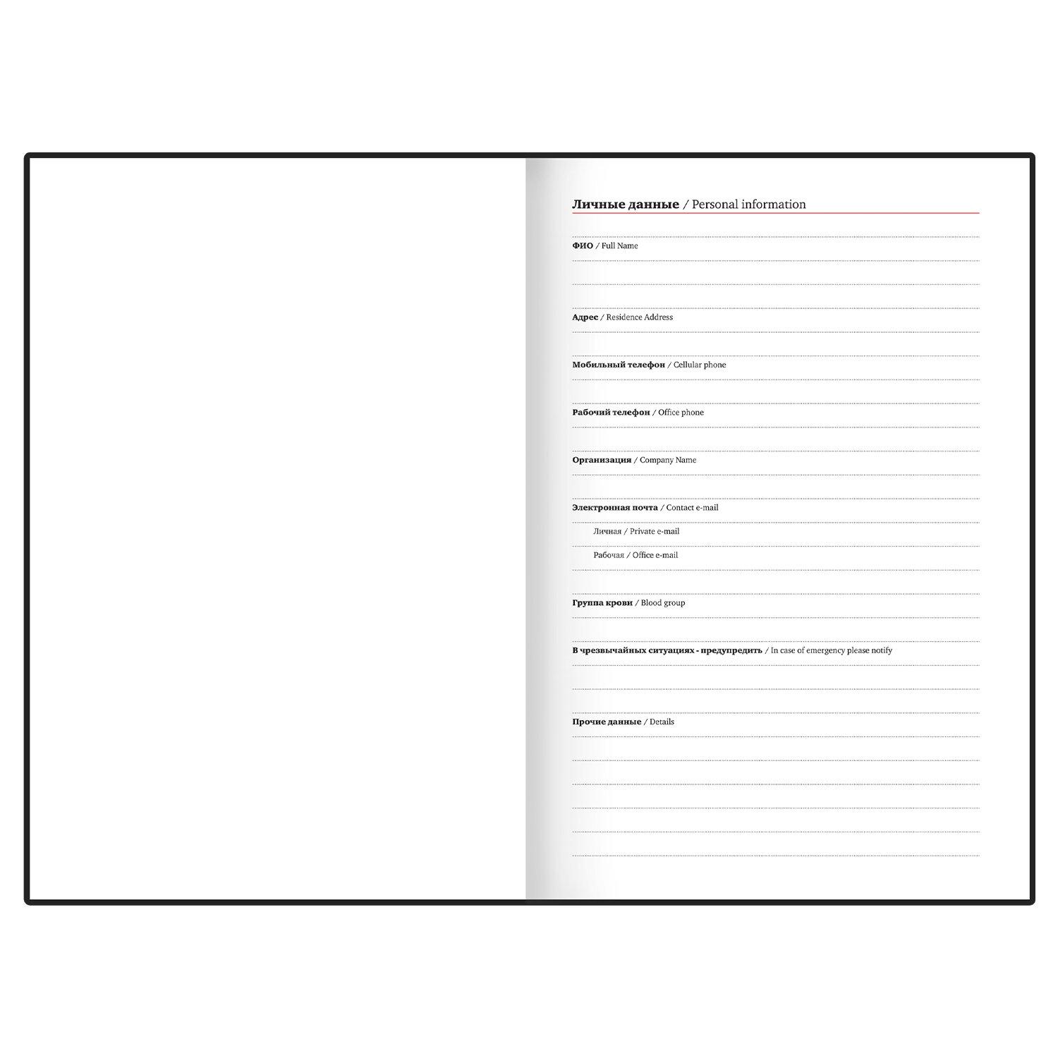     5 145203, BRAUBERG, , , 128, Apple, 116294