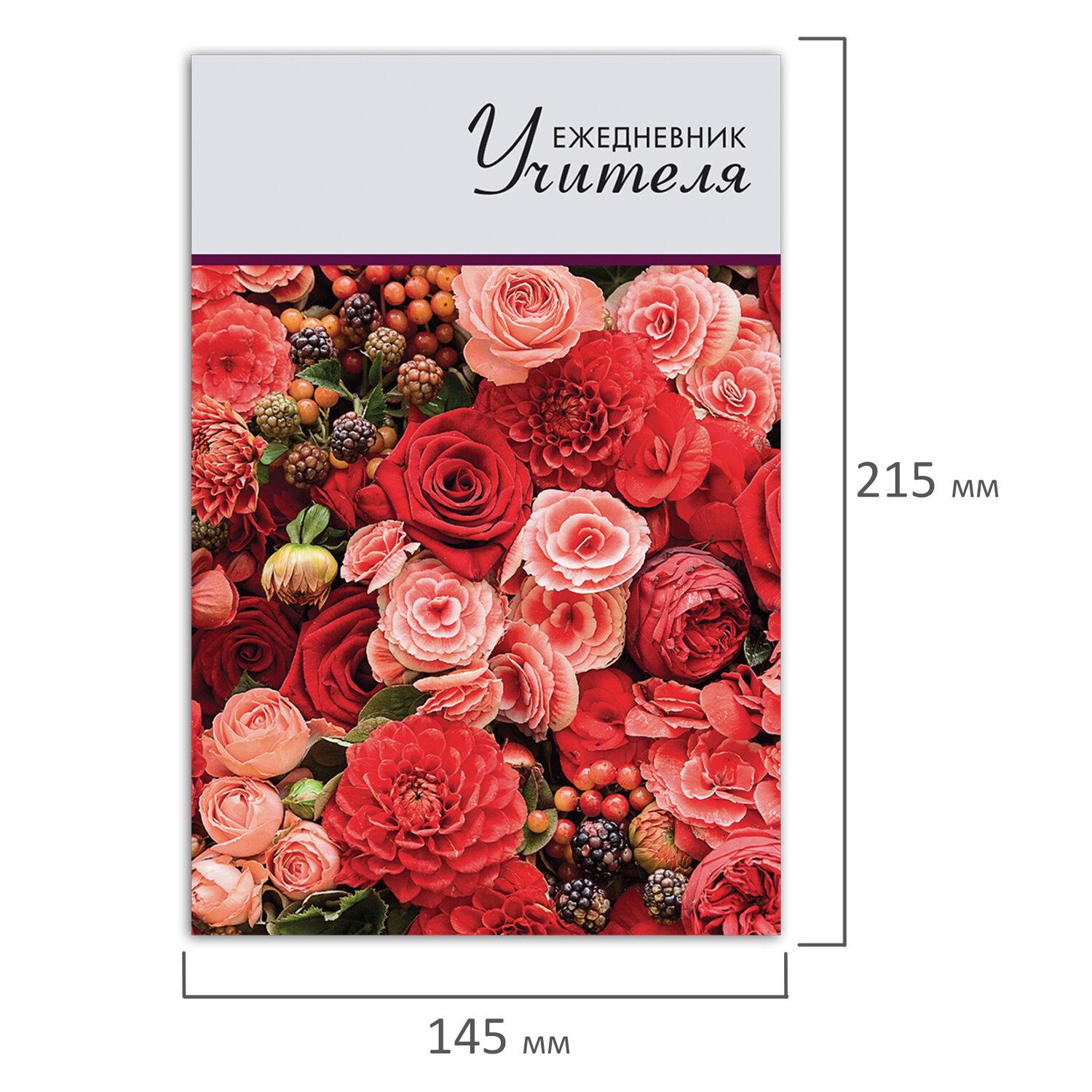    5 (215145 ) BRAUBERG,  , 144 ., , 129234