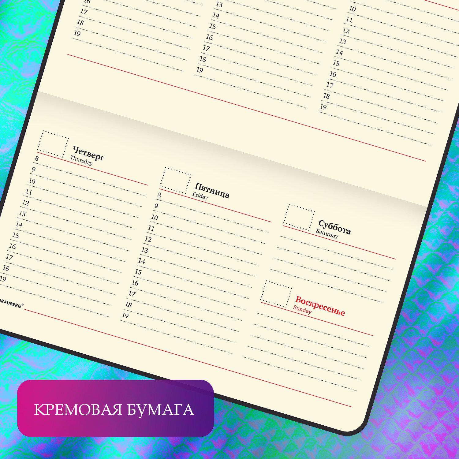 ������������ �������������� ����� ������ 95�155 �� �6, BRAUBERG Iguana, ��� ����, 64 �., �������, 114481