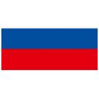 Флаг Российской Федерации 30х40см без флагштока FL4D под древко 25мм