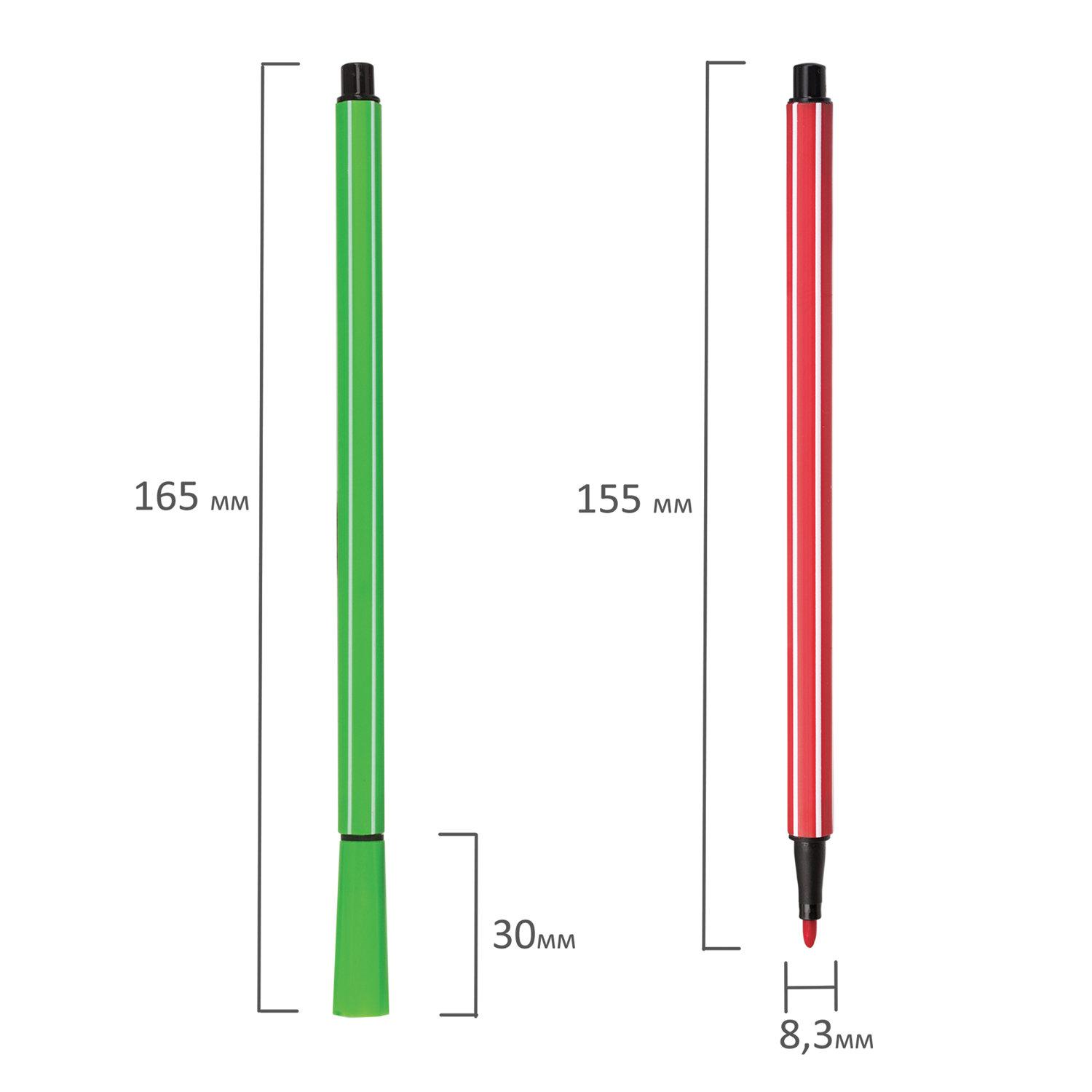  BRAUBERG, 12 ,   ,  ,  , 150681