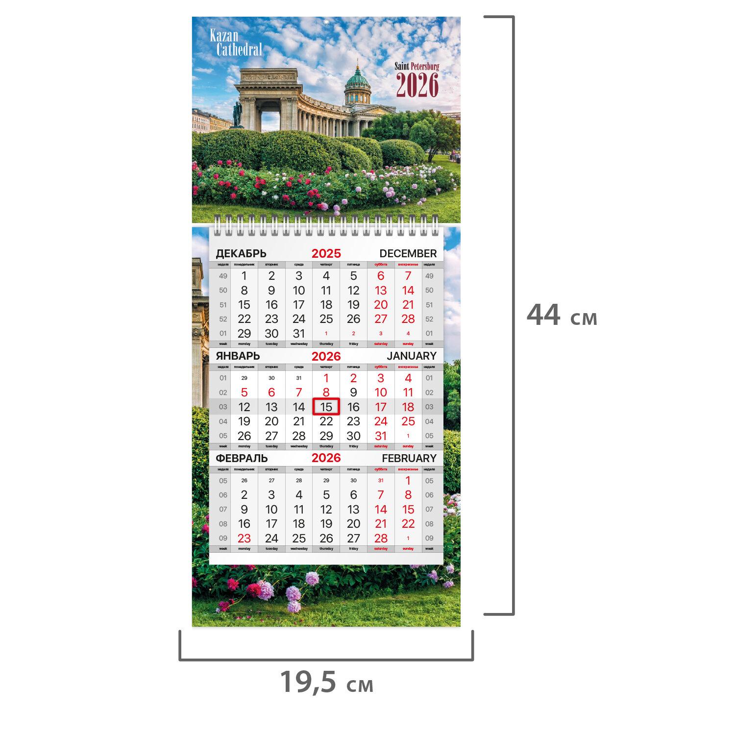   2026 ., 1 , 1 , , , , BRAUBERG, -, 116843