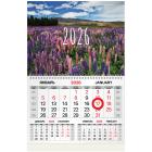   2026 ., 1 , 1 ,  ,  , BRAUBERG, 
