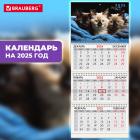    2025 ., 3 , 3 ,  ,  , BRAUBERG, 