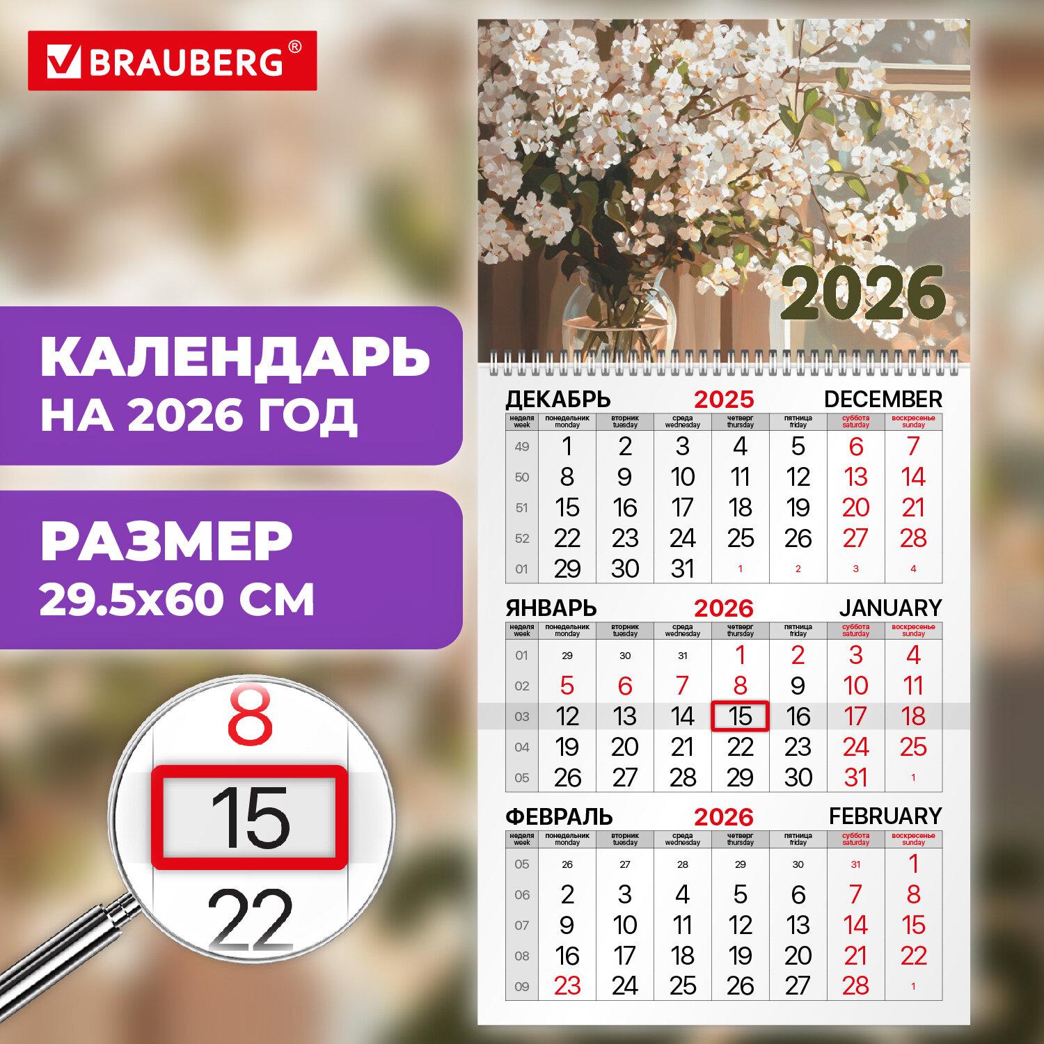    2026 ., 1 , 1 , , , BRAUBERG, , 116744