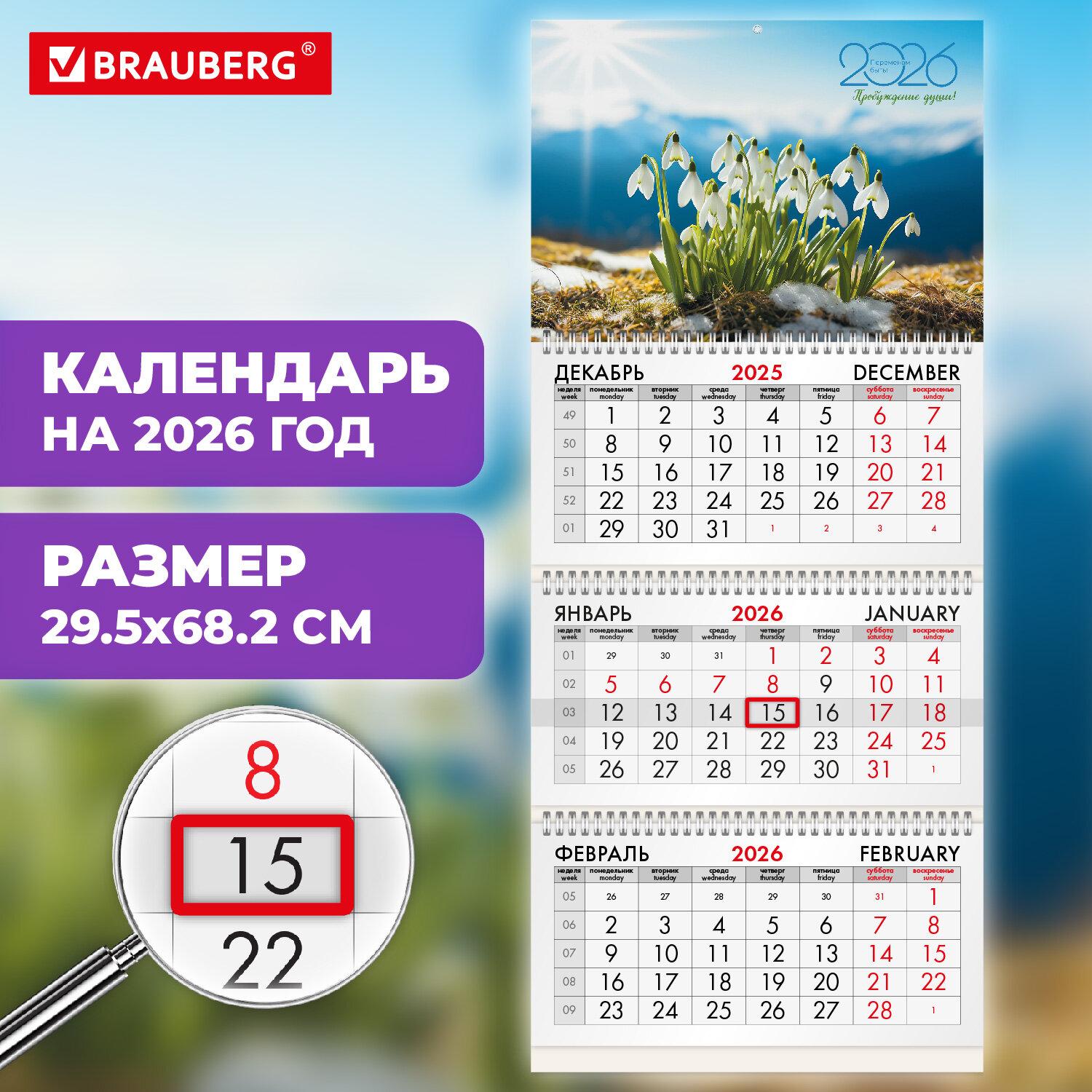   2026 ., 3 , 3 , , , BRAUBERG, , 116778