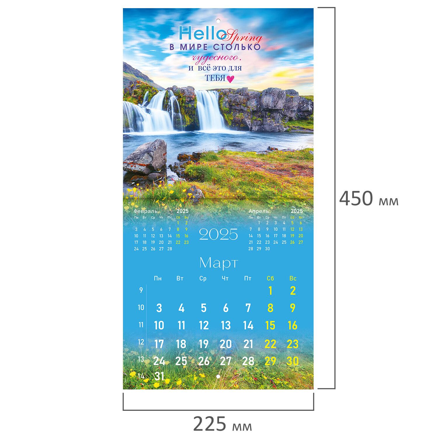    2025, BRAUBERG, 12 , 22,522,5, , , 116181