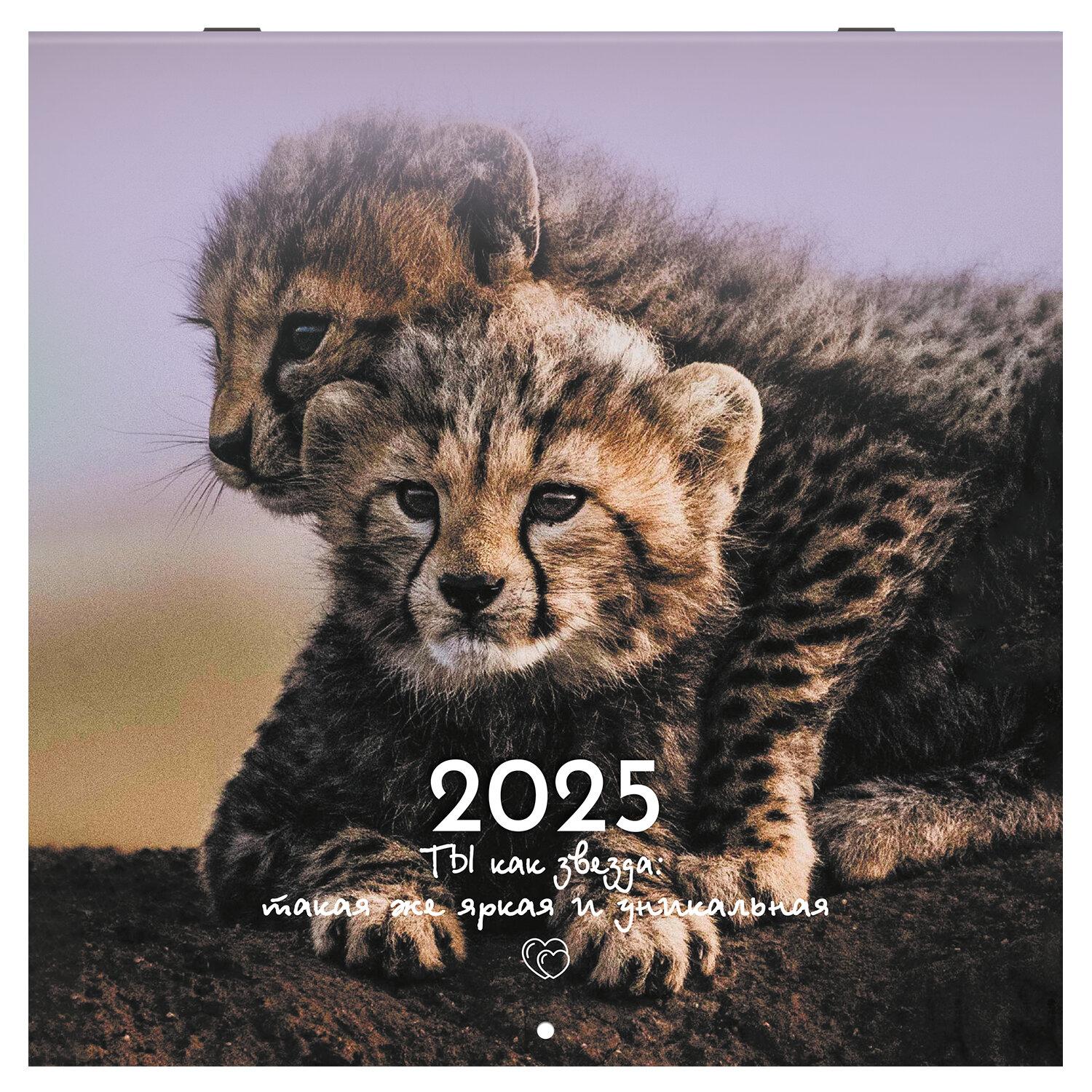    2025, BRAUBERG, 12 , 2929, , 116171