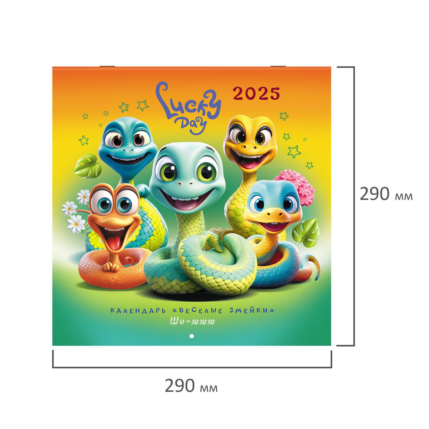    2025, BRAUBERG, 12 , 2929,  , 116168