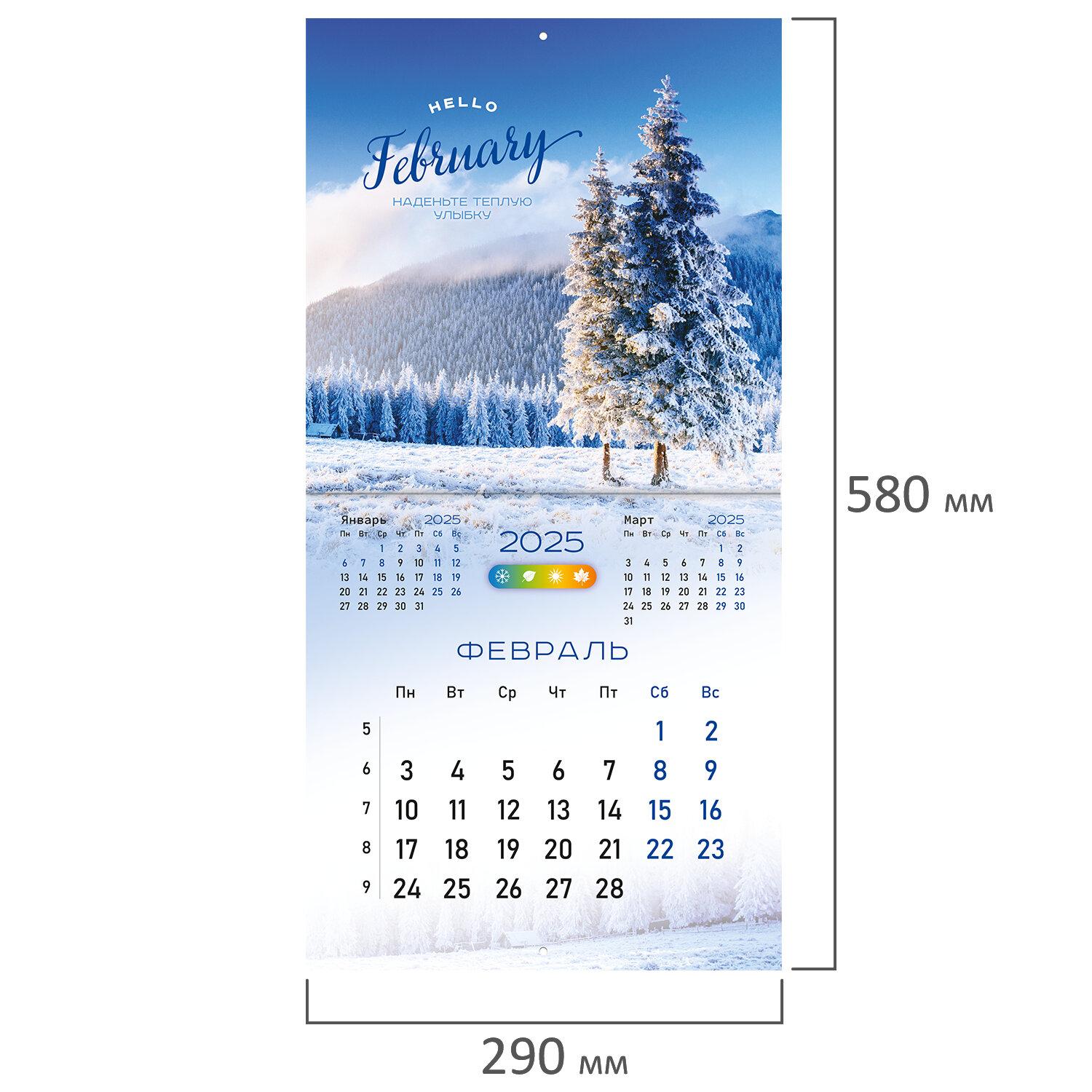    2025, BRAUBERG, 12 , 2929,  , 116161