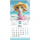 ��������� ��������� ���������� 2027 �., BRAUBERG, 12 ������, 21,4�42,8 ��, ����, 
