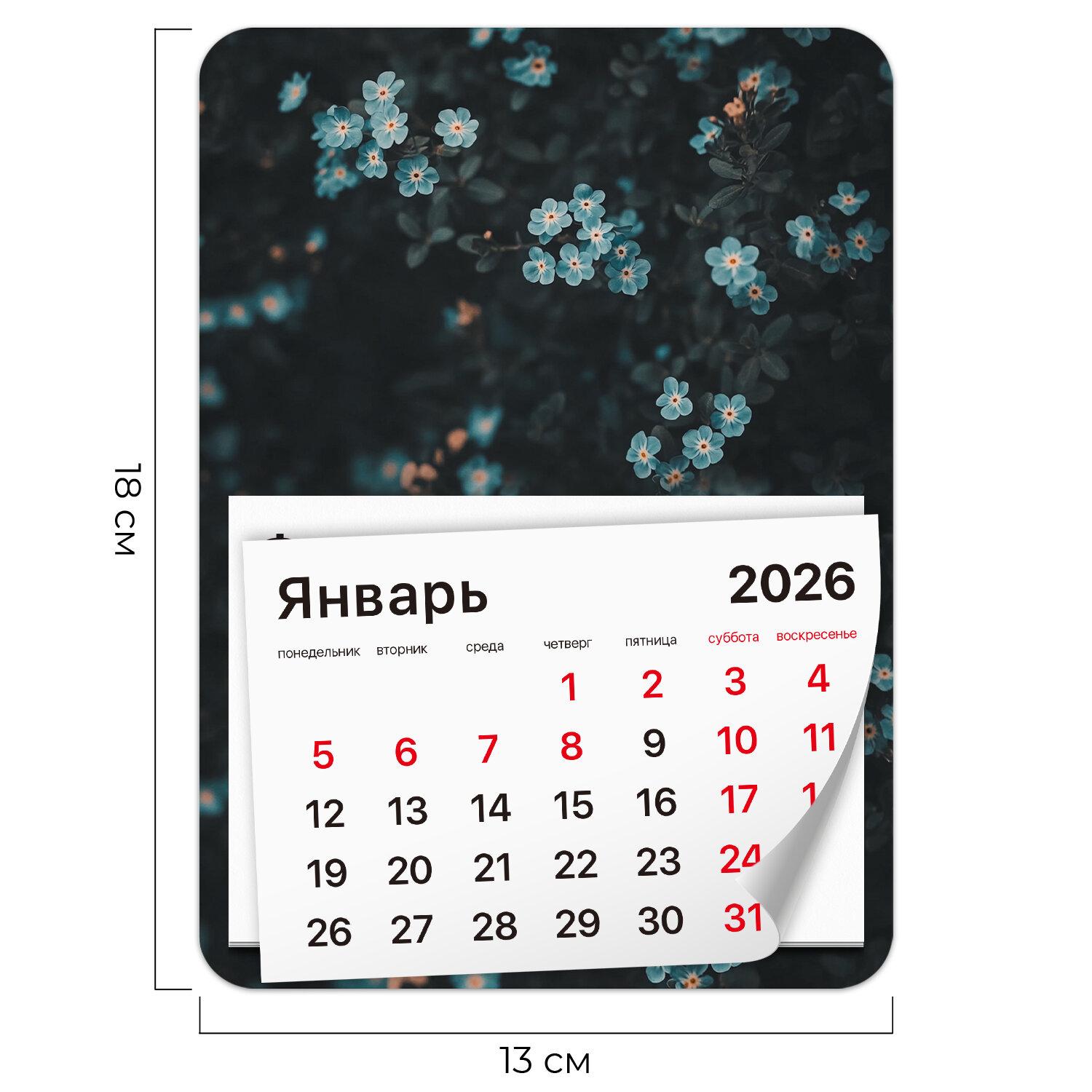      2026 ., BRAUBERG, 130180 , , , 117293