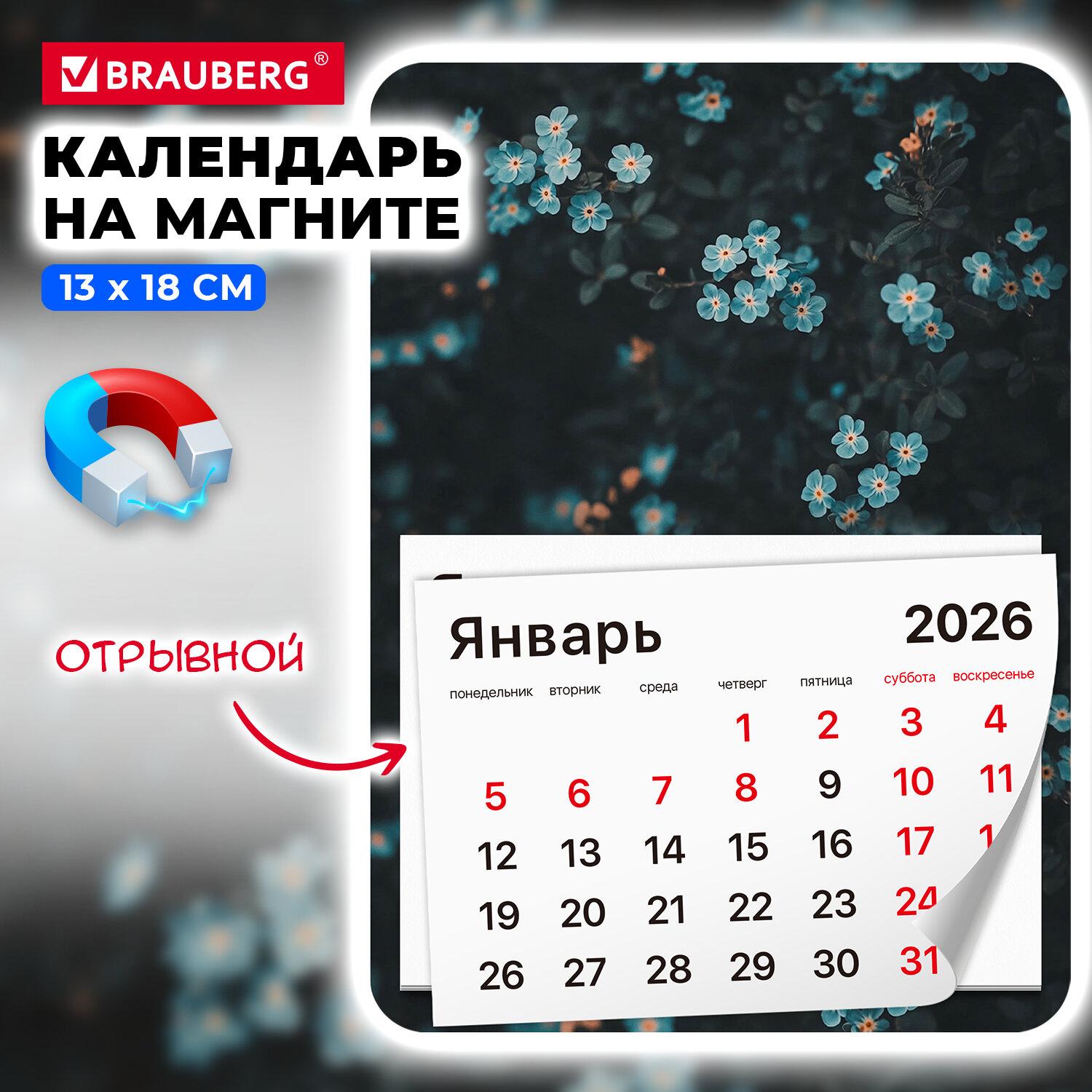      2026 ., BRAUBERG, 130180 , , , 117293