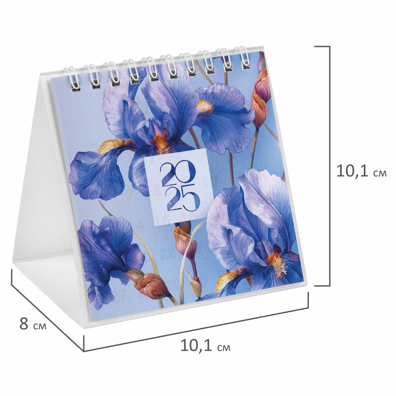 -   , 2025 ., BRAUBERG, 101101 , , 116267