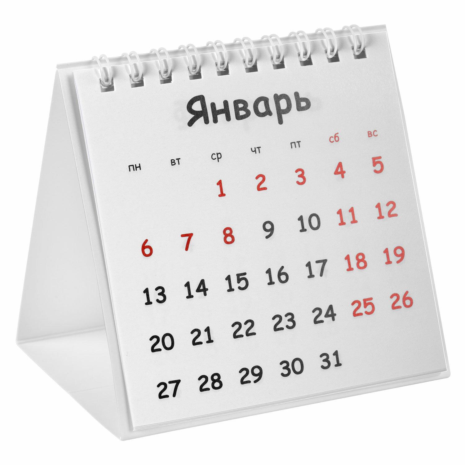 -   , 2025 ., BRAUBERG, 101101 , , 116267