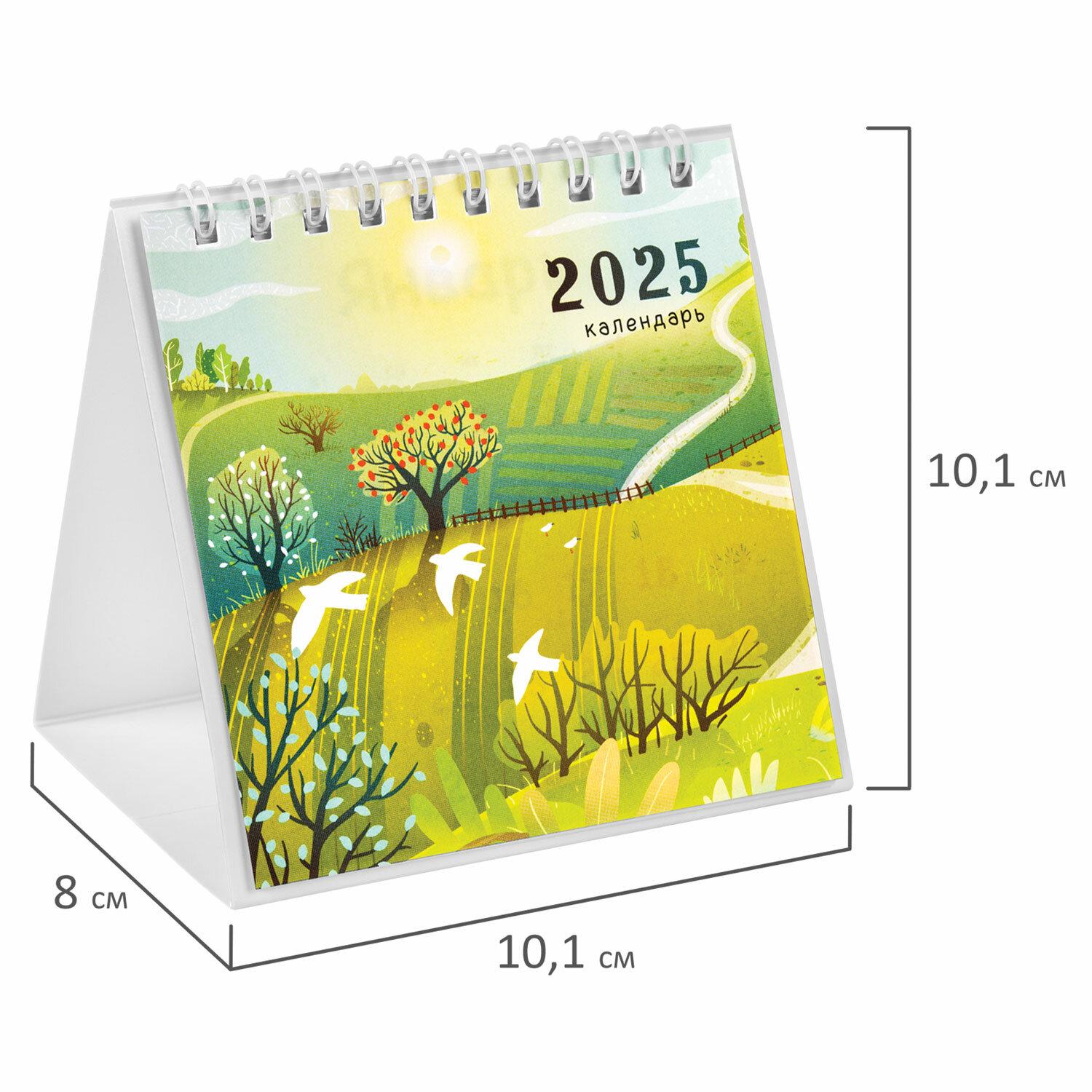 -   , 2025 ., BRAUBERG, 101101 ,  , 116268