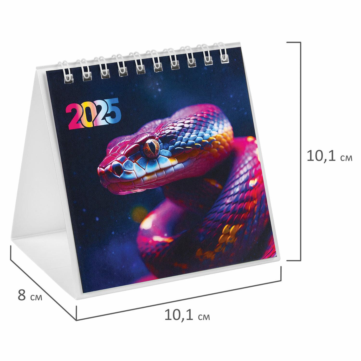 -   , 2025 ., BRAUBERG, 101101 , Snake, 116269