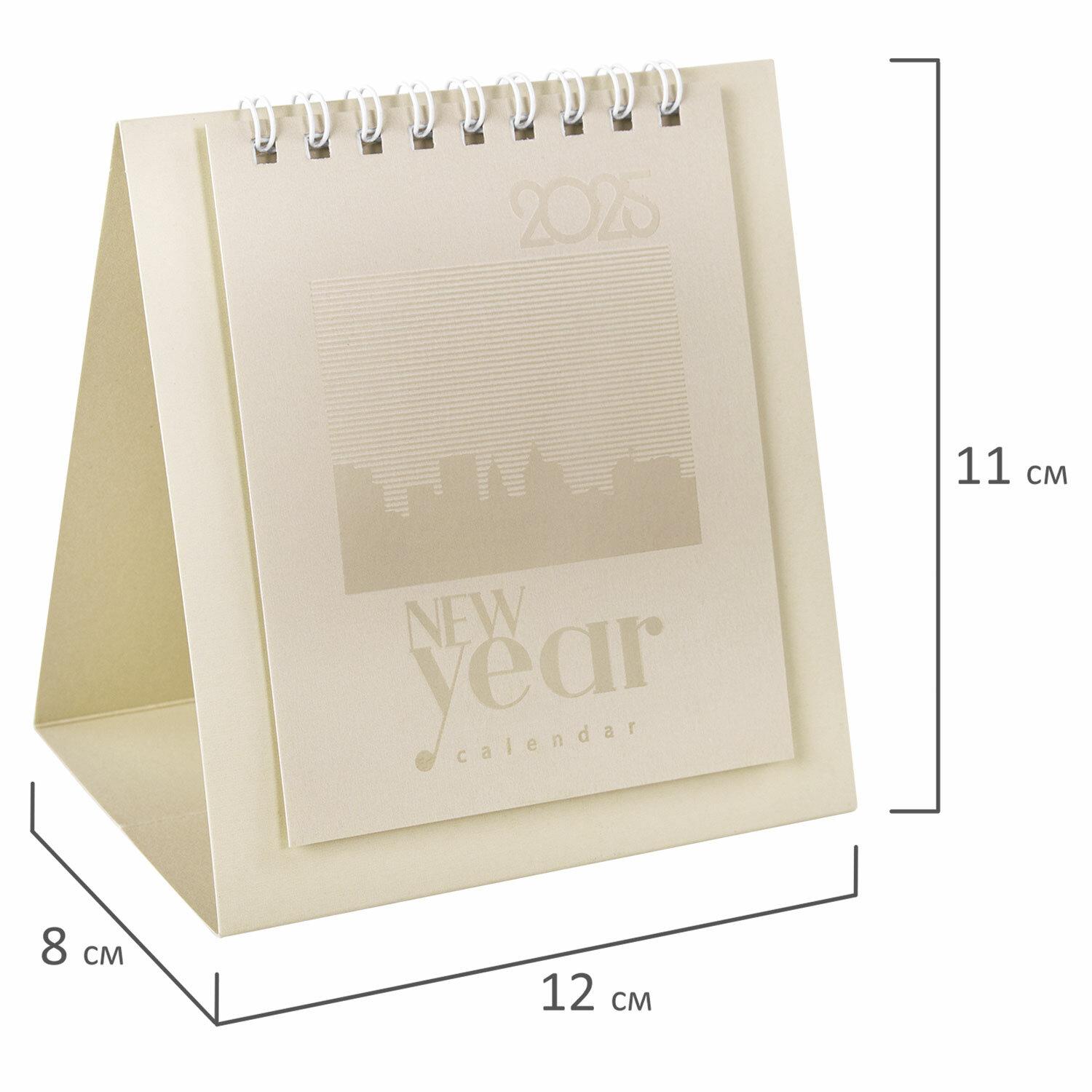 -   , 2025 ., BRAUBERG, 110120 , , 116277
