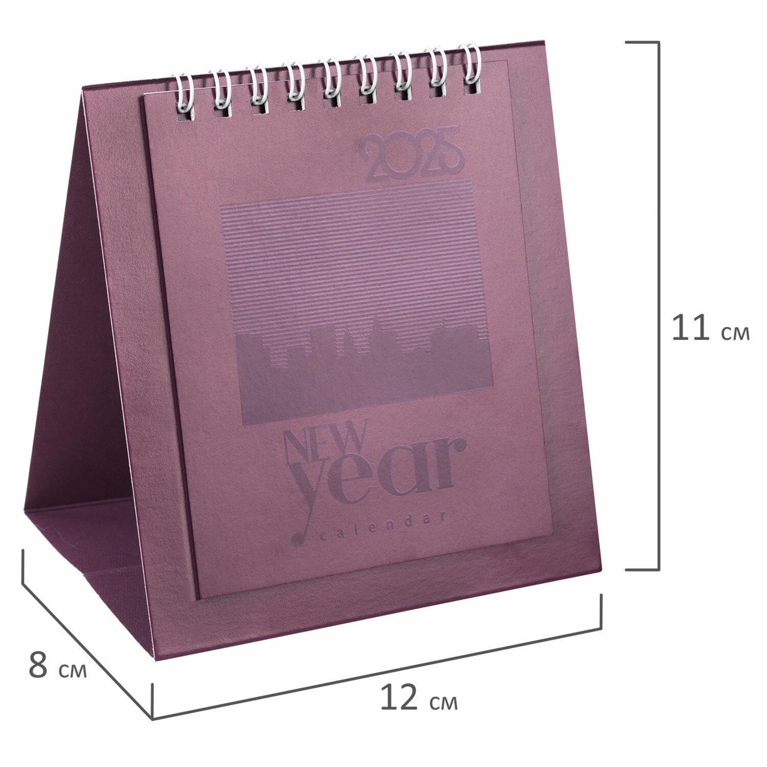 -   , 2025 ., BRAUBERG, 110120 , , 116276