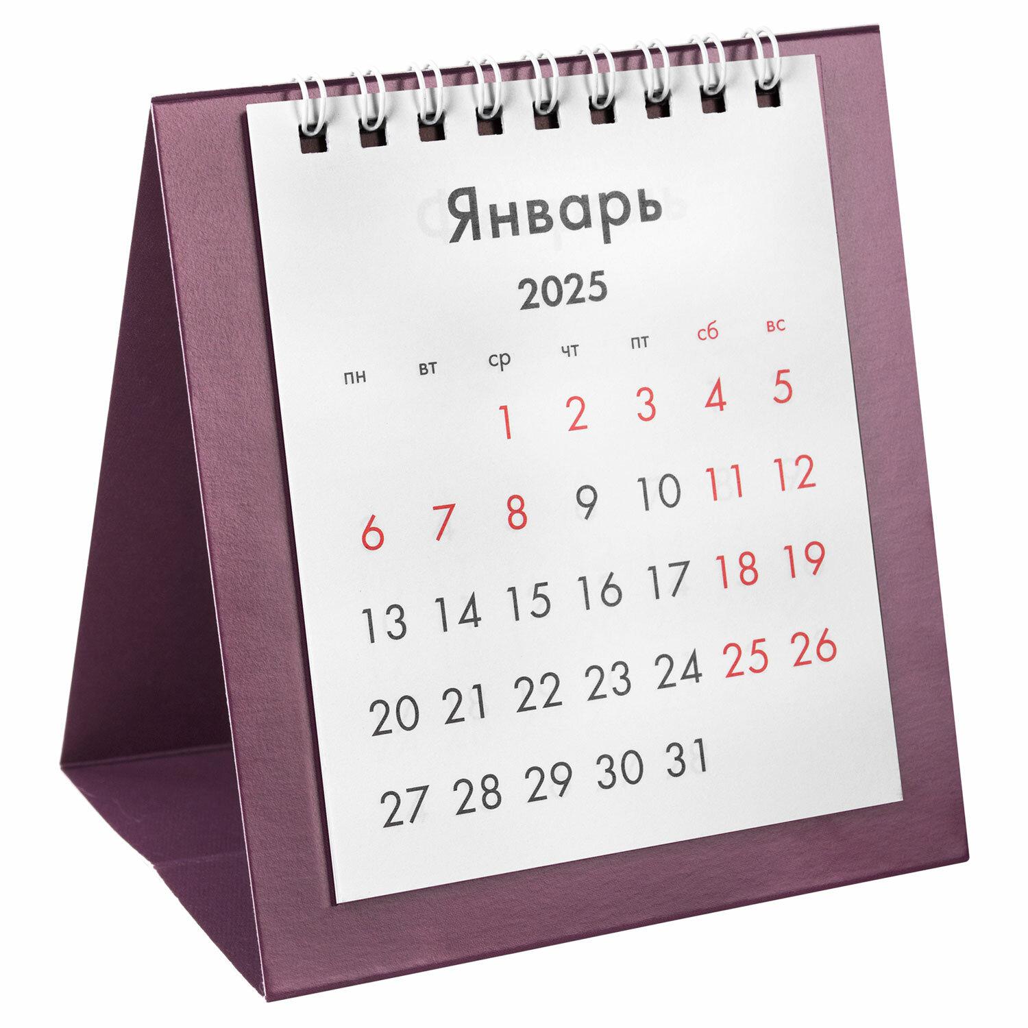 -   , 2025 ., BRAUBERG, 110120 , , 116276