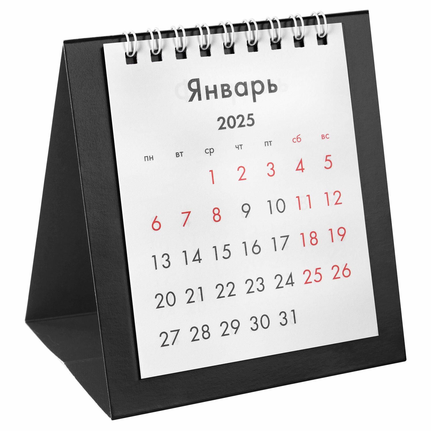-   , 2025 ., BRAUBERG, 110120 , , 116274