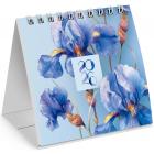 -   , 2026 ., BRAUBERG, 101101 , 