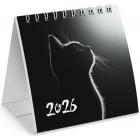 -   , 2026 ., BRAUBERG, 101101 , 