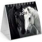 -   , 2026 ., BRAUBERG, 101101 , 