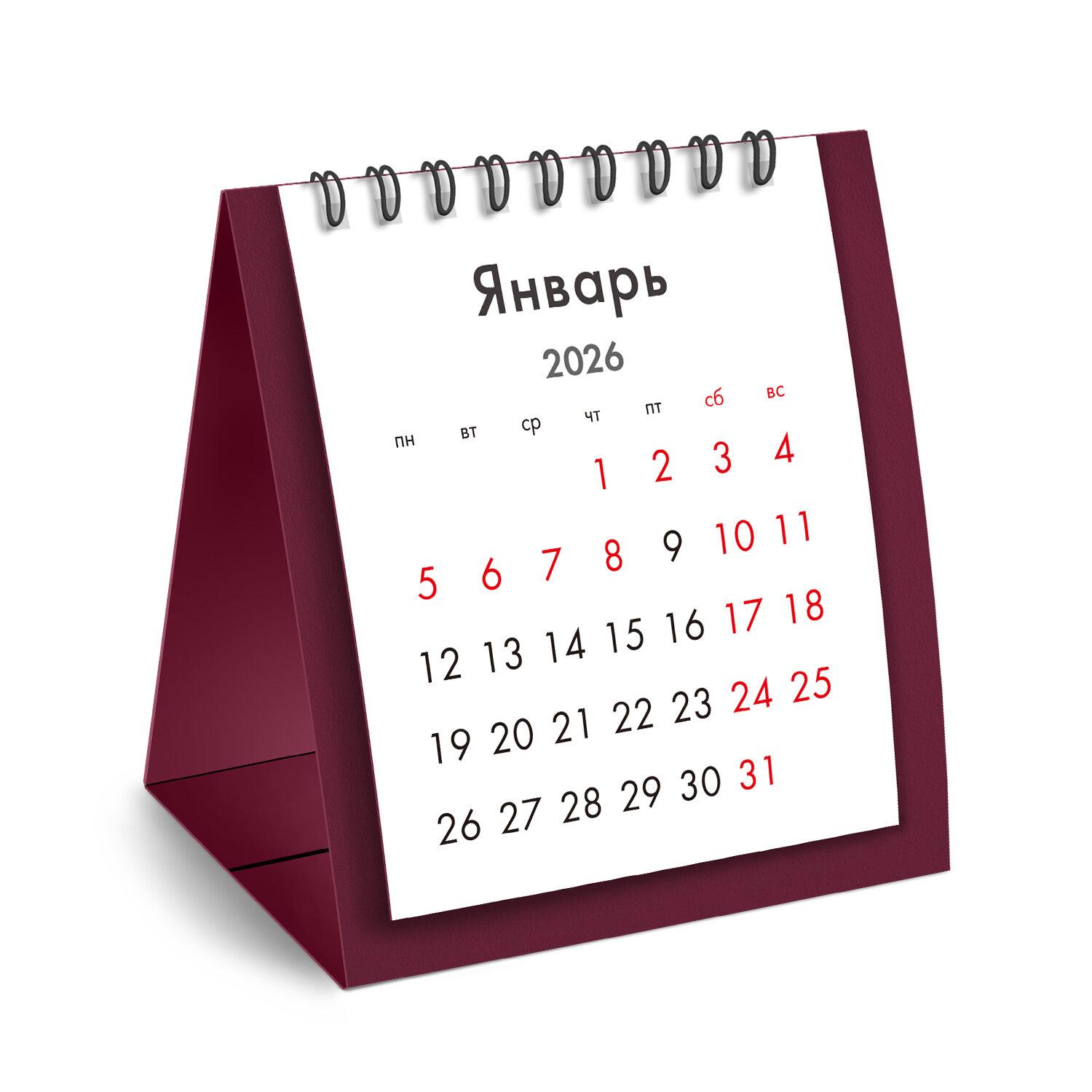 -   , 2026 ., BRAUBERG, 110120 , , 117284